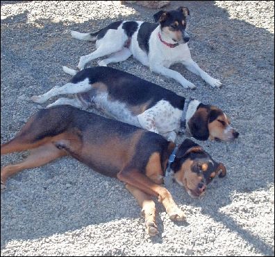 Snoozing at daycare